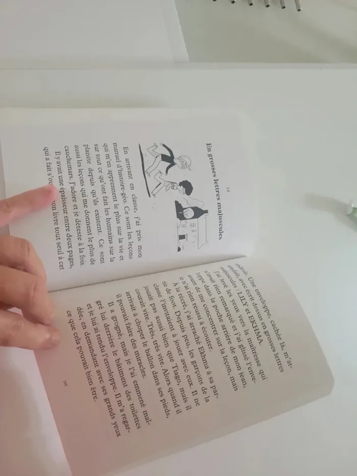 Livre Beurre Breton et Sucre Afghan - photo numéro 4
