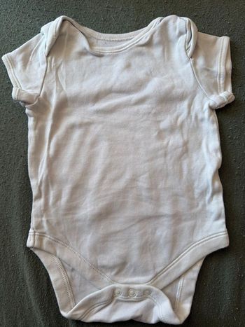 Body manches courtes