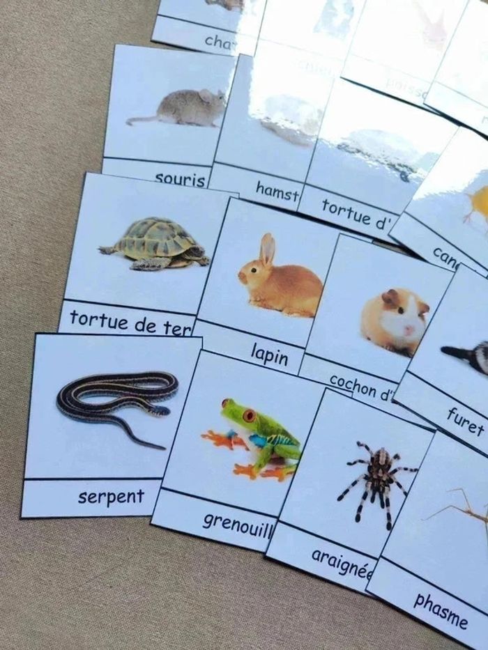 18 cartes de nomenclature des animaux domestiques - photo numéro 4
