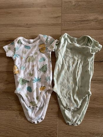 Lot 2 bodies