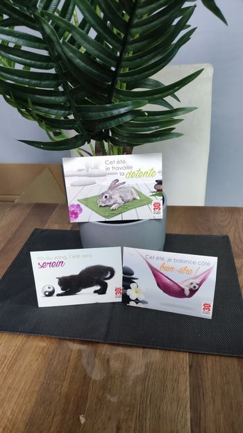 Lot de cartes postales été bien être