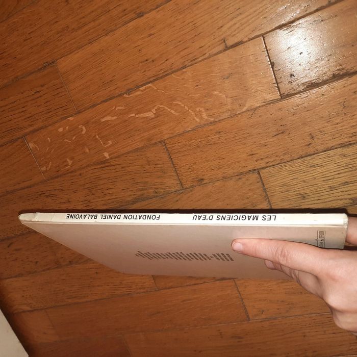 Les magiciens d'eau / Daniel Balavoine - photo numéro 3