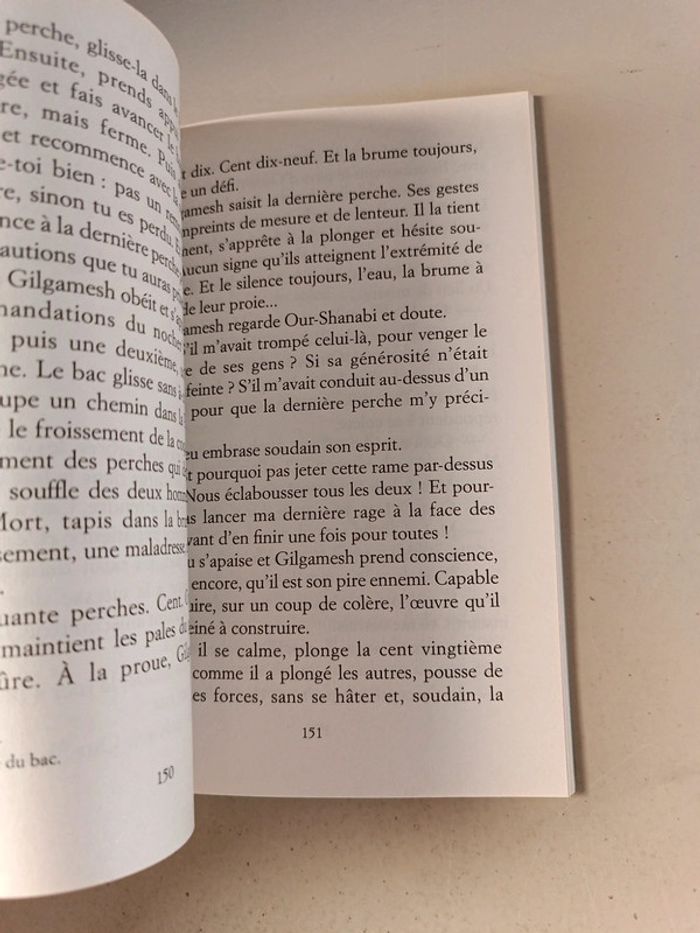 Le premier roi du monde l'épopée de Gilgamesh de Jacques cassabois - photo numéro 4