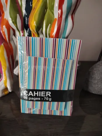 Ensemble petit cahier