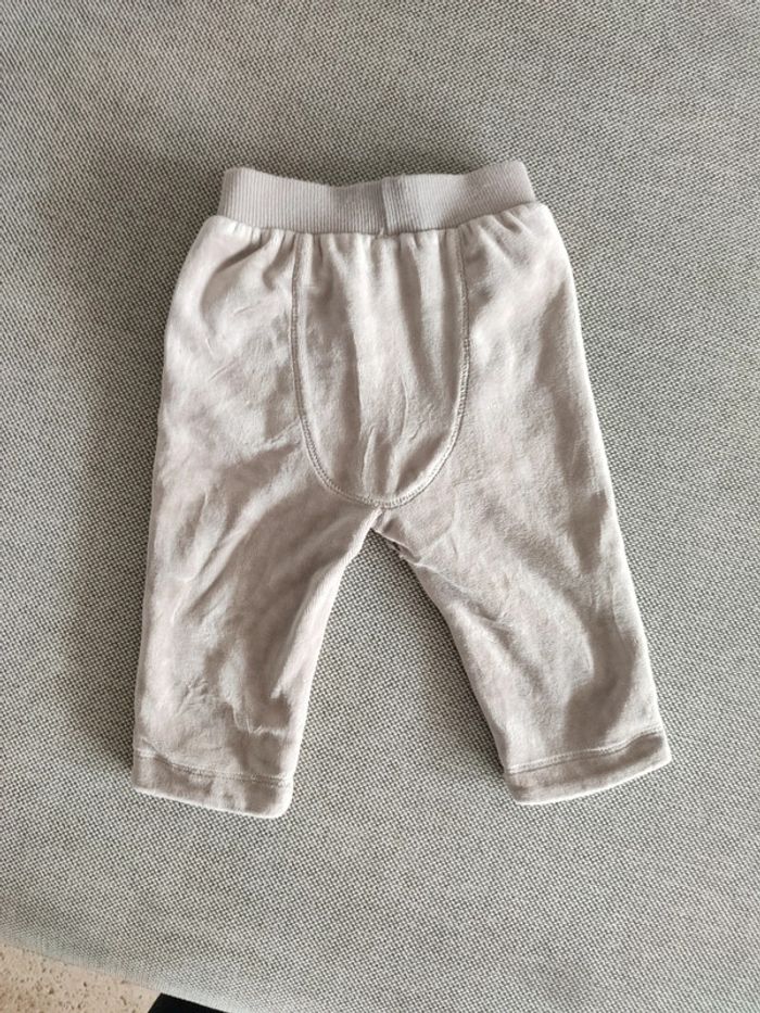 Pantalon velours naissance - photo numéro 3