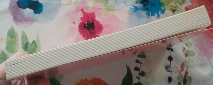 Une affaire personnelle de Kenzaburo Oe Ed. Stock - photo numéro 5