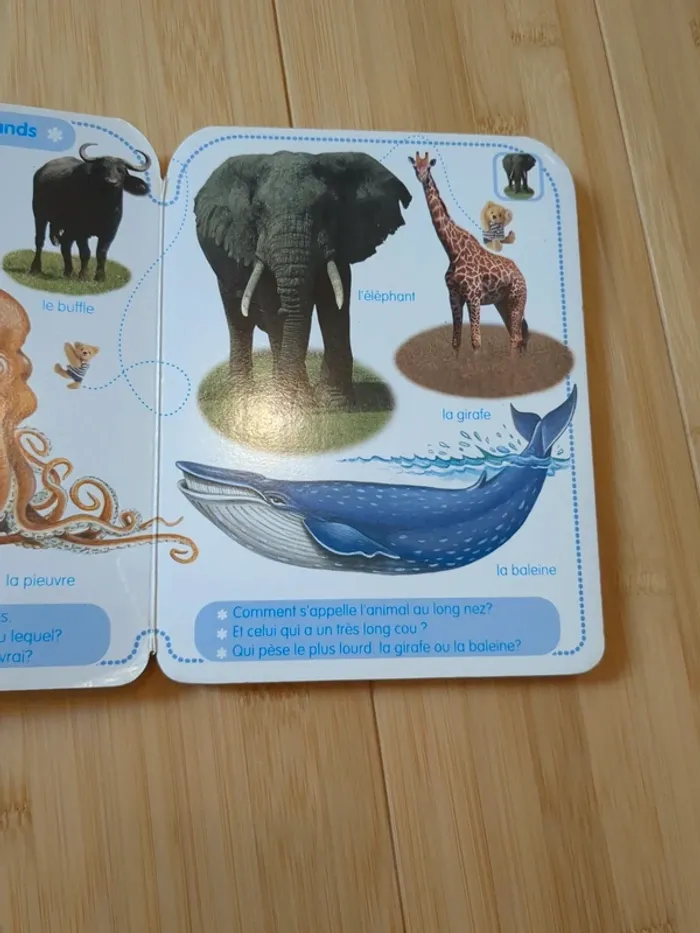 Livre les animaux - photo numéro 4