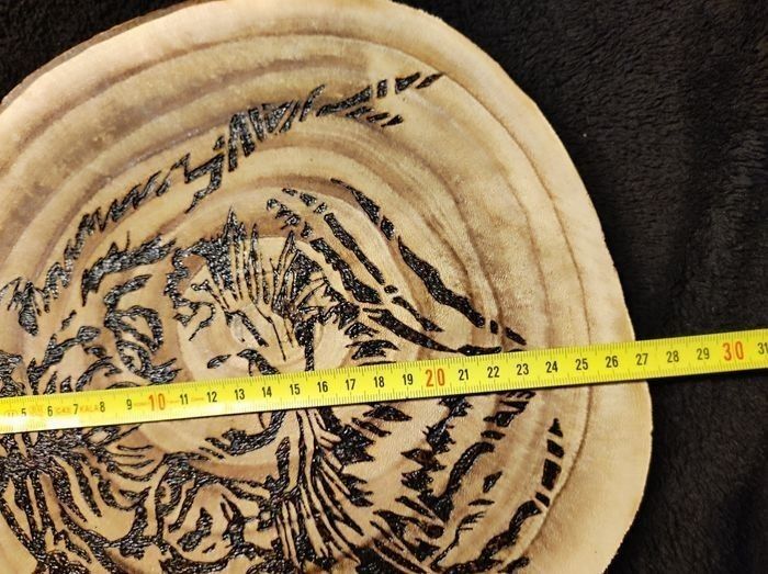 Rondin de bois tigre - photo numéro 3