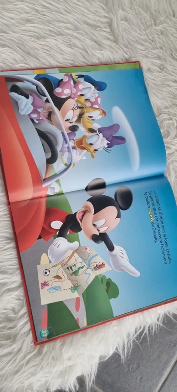 Livre Mickey - photo numéro 2