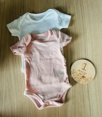 Lot de 2 bodys manches courtes bébé filles