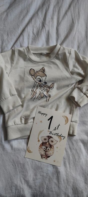 Pull 12/18 mois