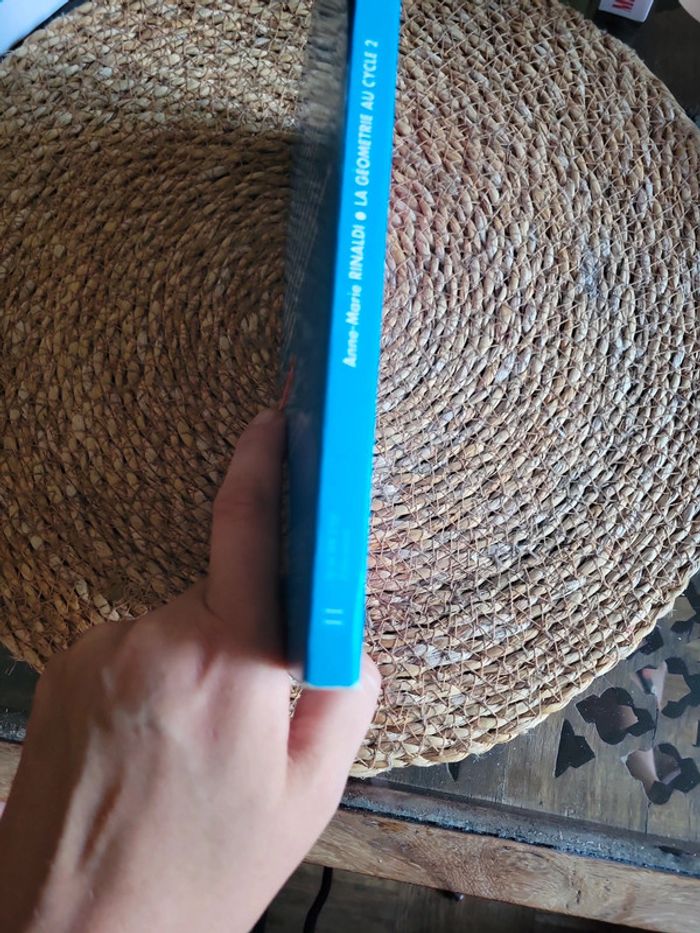 Pédagogie pratique de l école. Enseigner - photo numéro 5