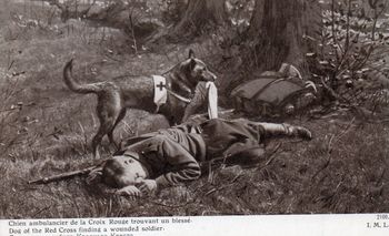 CPA - Chien ambulancier se la Croix Rouge trouvant un blesse - N°7589
