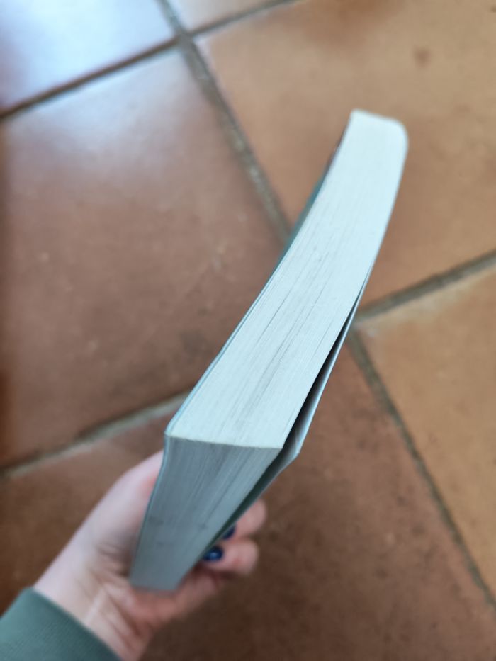 Durango, livre de Gilles Fontaine - photo numéro 8