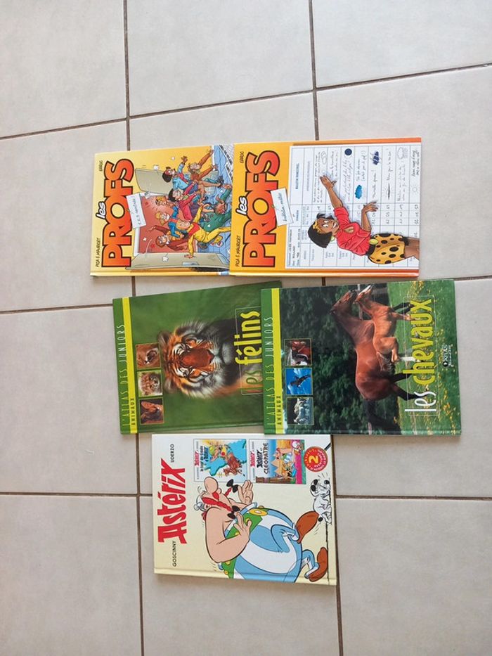 Lot livres bd