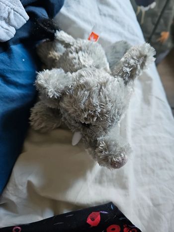 Petit Éléphant