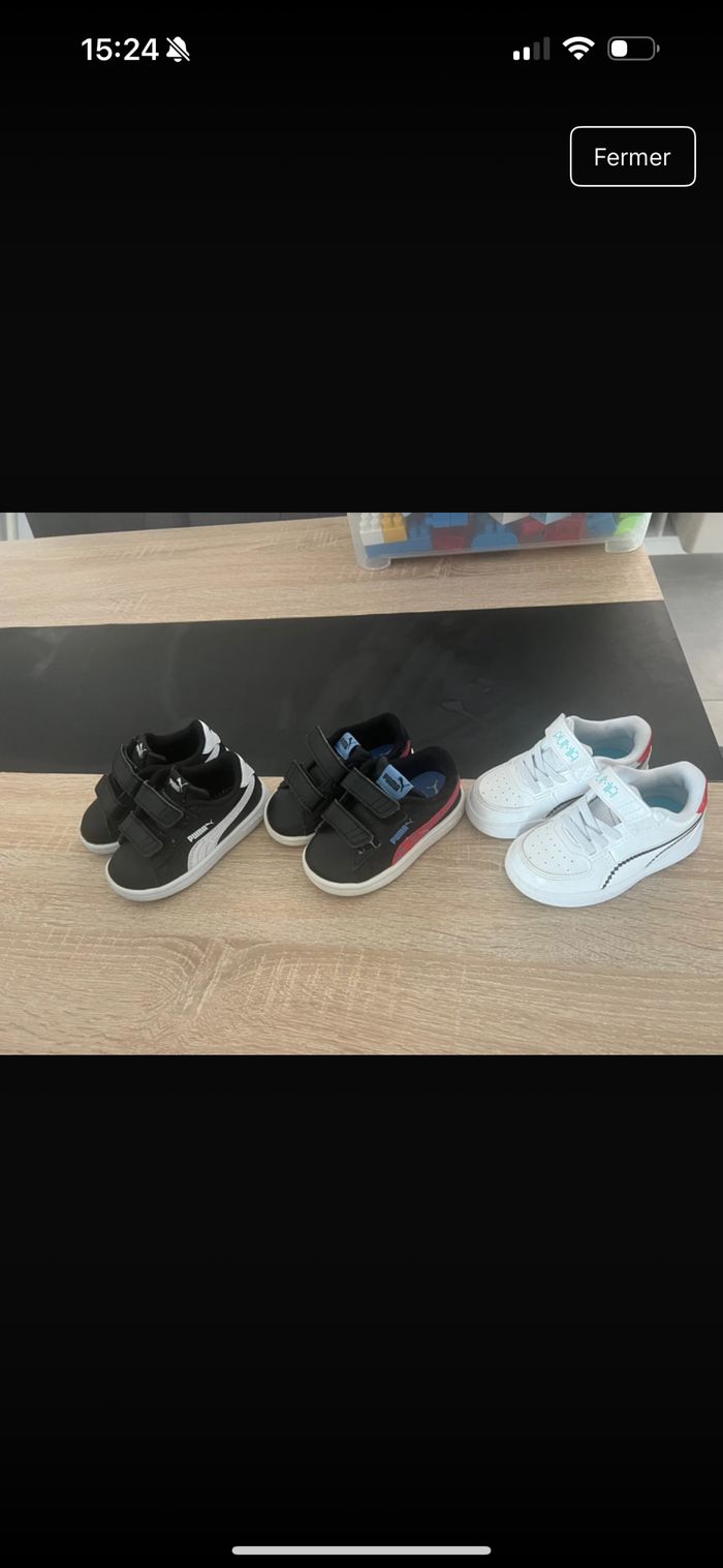 Basket puma