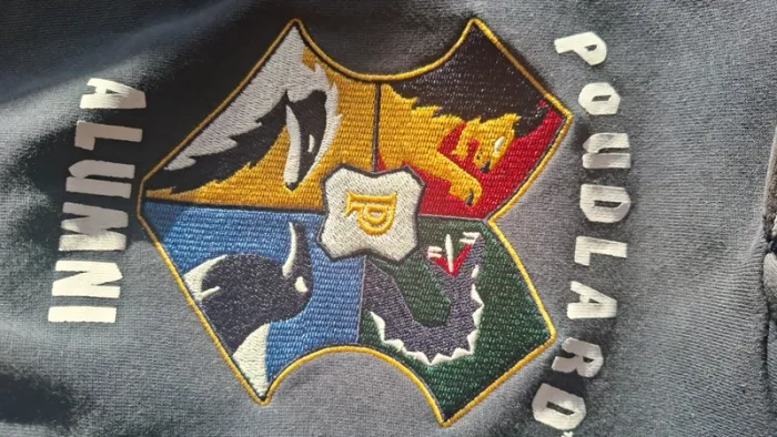 Pull officiel Harry Potter Wizarding World - photo numéro 8