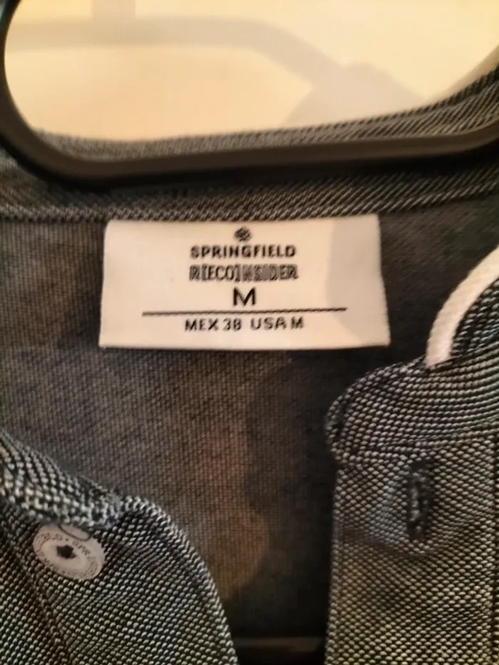 Polo Springfield - photo numéro 2