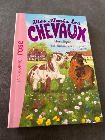 Livre bibliothèque rose mes amis les chevaux tome 16