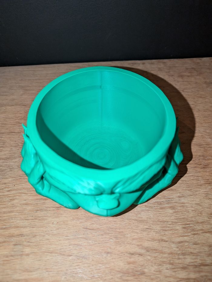 Bol Grinch - photo numéro 2