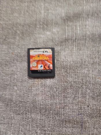 Carnival Nintendo ds