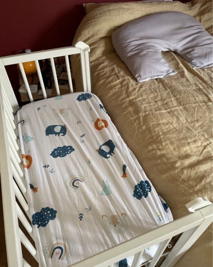 Co-dodo Fillikid - photo numéro 2