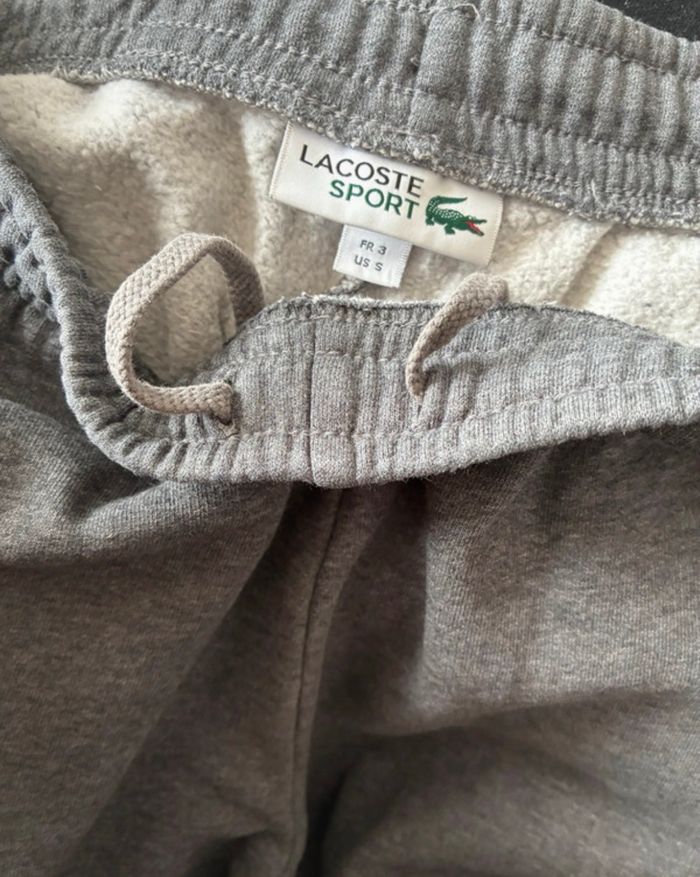 jogging lacoste - photo numéro 3