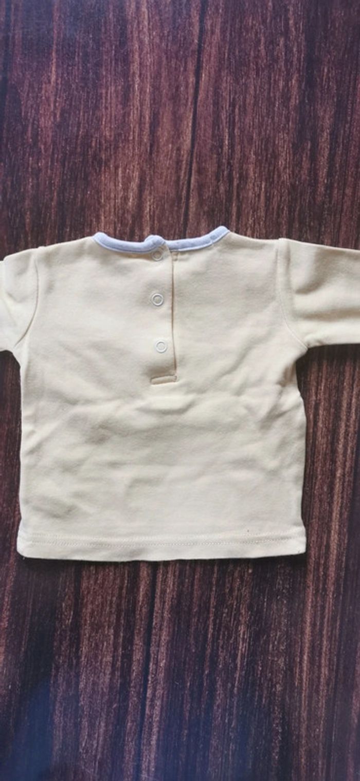 Tee-shirt 9 mois - photo numéro 3