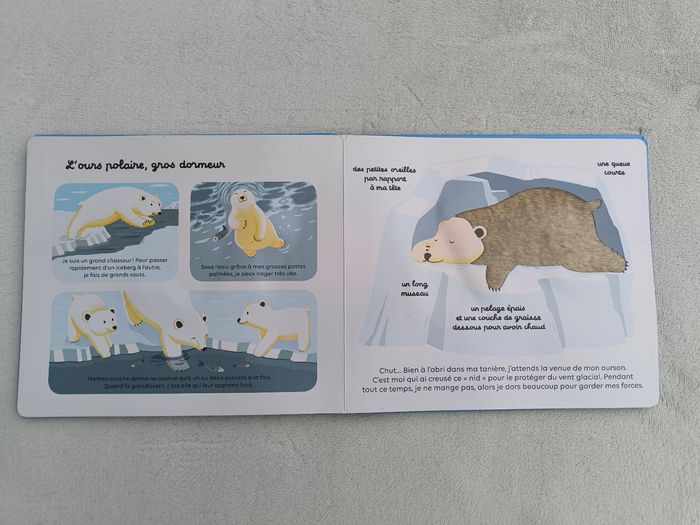 Livre Les animaux du froid Milan - photo numéro 5