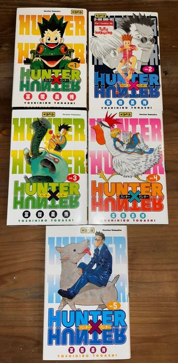 Lot 5 livres Hunter x Hunter