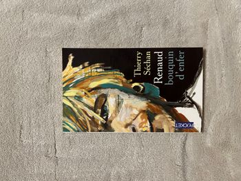 Livre – Renaud, bouquin d’enfer – Thierry Séchan