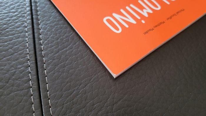 Livre " Palomino " - photo numéro 9