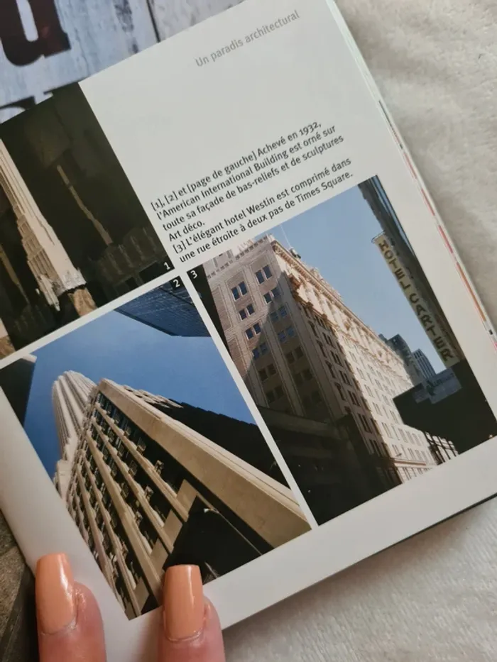 Livre new-york - photo numéro 6