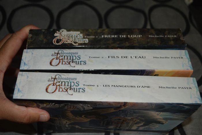 Lot Tome 1/2/3 Chroniques des temps obscurs - photo numéro 8