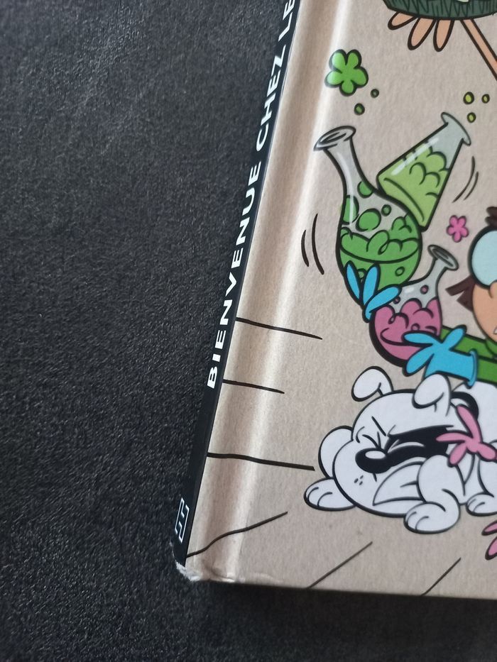 Livre bd bienvenue chez les loud tome 1 - photo numéro 2