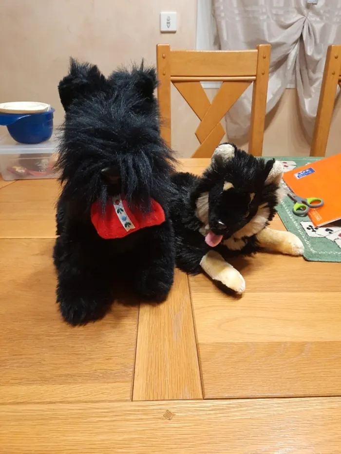 Lot 2 peluches chien
