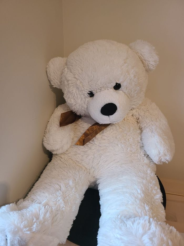 peluche ours - photo numéro 2