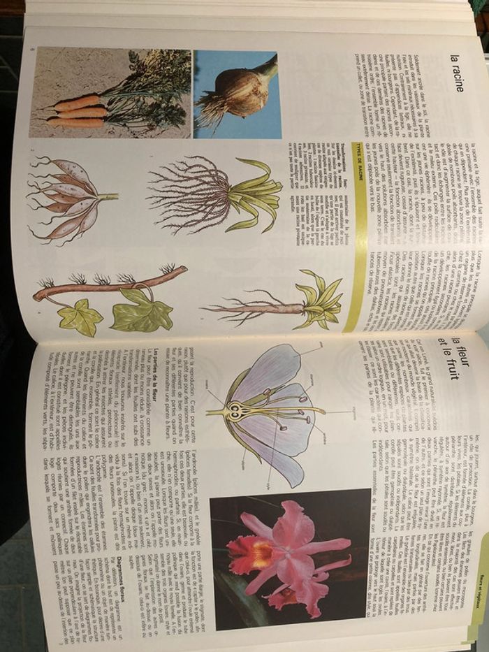 Encyclopédie bordas - photo numéro 4