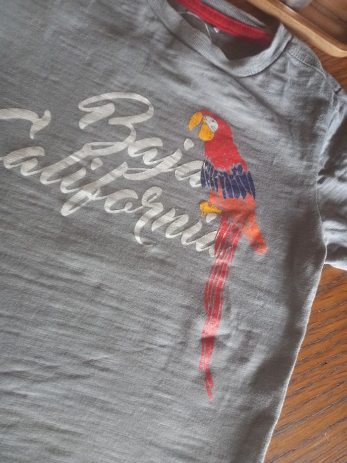 T-shirt perroquet 98 - photo numéro 3
