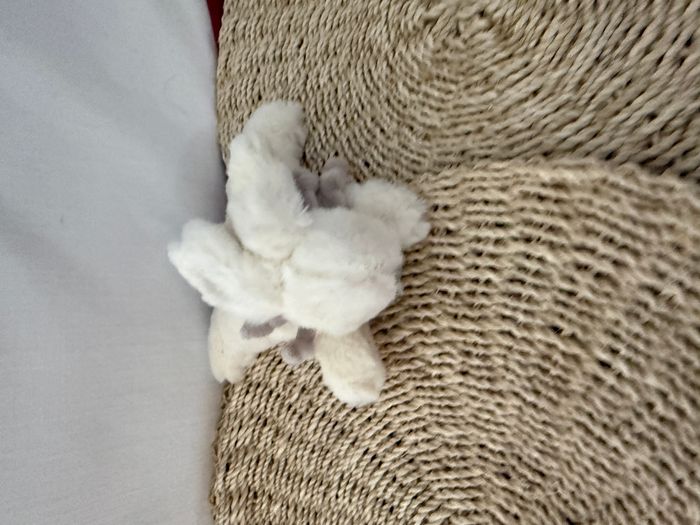 Doudou et compagnie lapin blanc gris taupe tout doux Bonbon - photo numéro 5