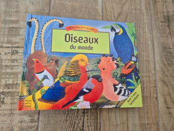 Livre Pop up Oiseaux du monde Maurice Pledger