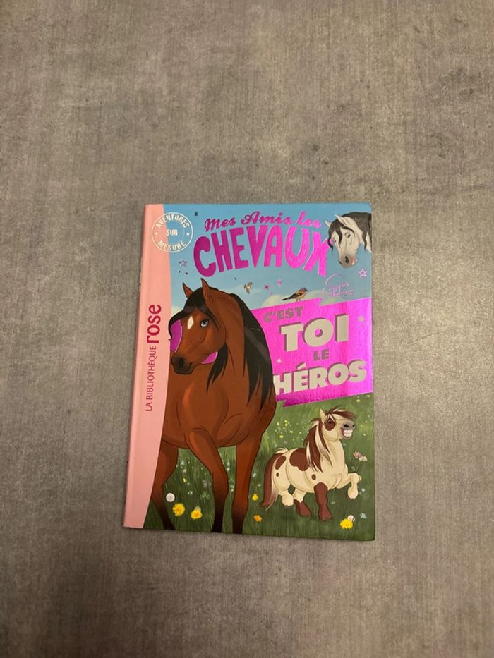 Livre mes amis, les chevaux, c’est toi le héros