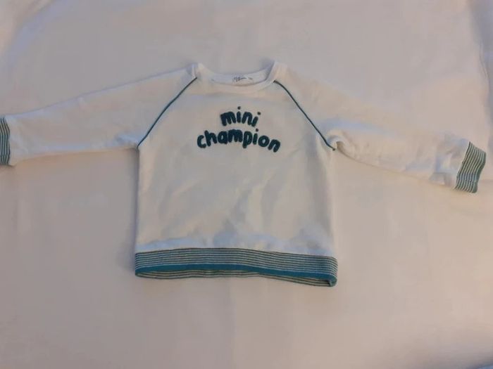Pull mini champion - photo numéro 4