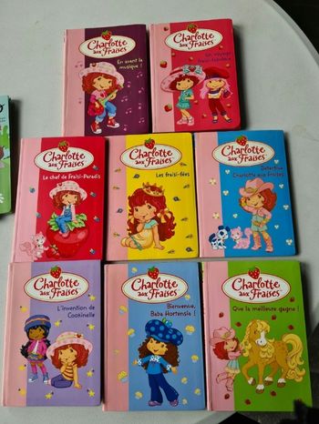 Livres Charlotte aux fraises bibliothèque rose