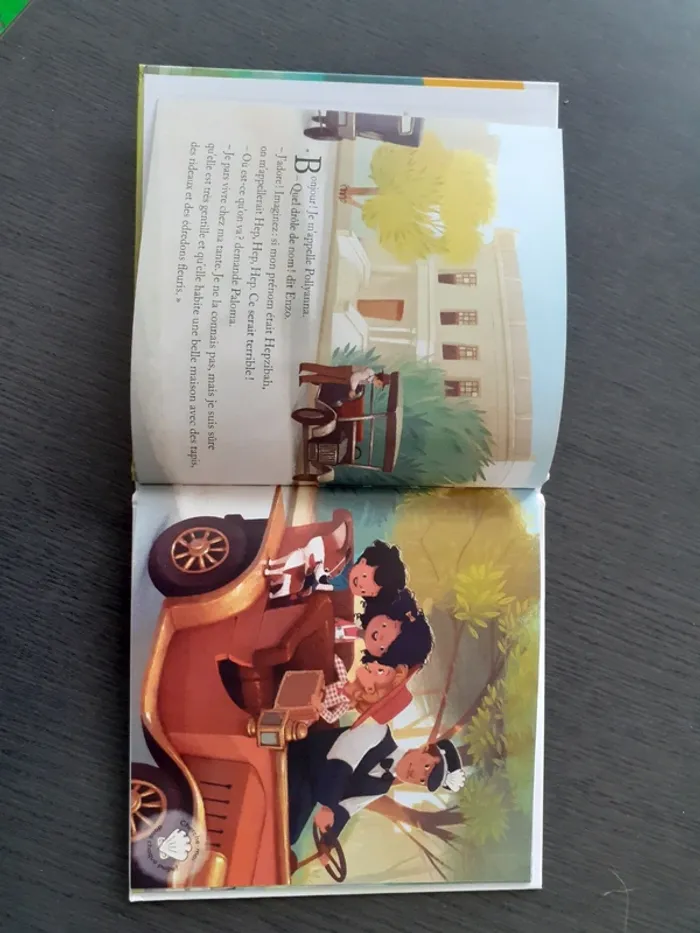 Les aventures de Pollyanna - photo numéro 3