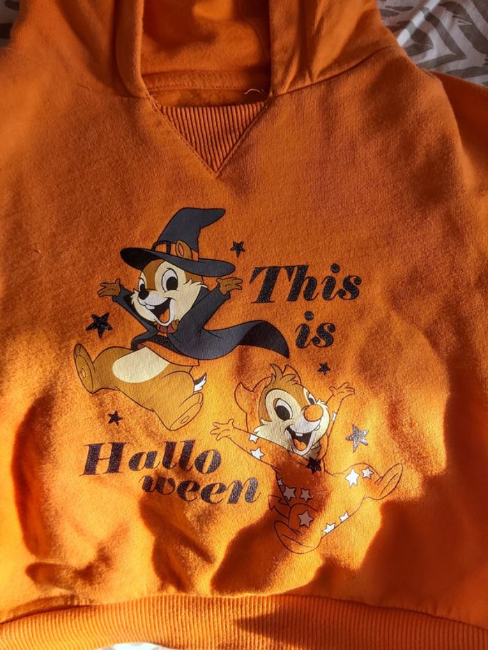 Sweet Halloween 18M - photo numéro 3