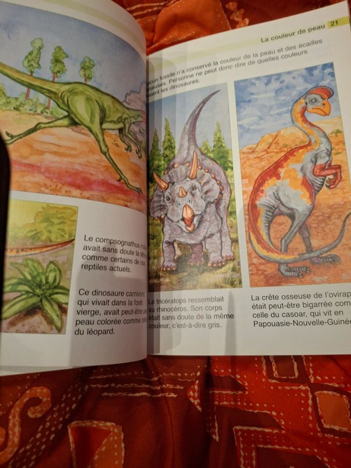 Livre Dinosaure enfant - photo numéro 4
