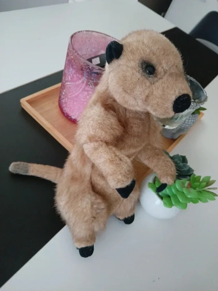 Péluche Suricate National Géographic🌿🎁 - photo numéro 6
