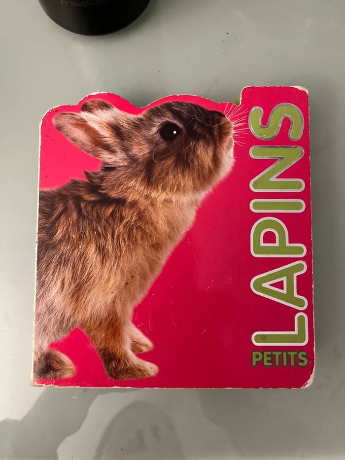 Livre petits lapins